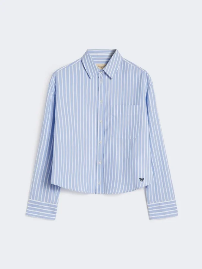 Camisa de algodão oxford às riscas, azul claro Camisa de algodão oxford às riscas, azul claro